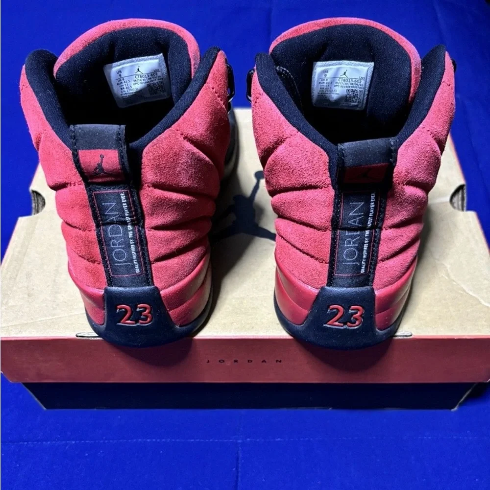 Jordan 12 Retro Reverse Flu Game 2020 Size 9